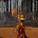 Amazon Rainforest Fires in Brazil