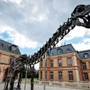 Gigantic Dinosaur Skeleton Sold for 6 Million Euros at Auction in Paris