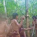 New Images Show Indigenous Tribe in Brazilian Amazon Rainforest