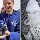 Thieves Steal Valuable Racing Pigeons from Breeder in Belgium