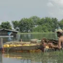 Typhoon Yagi Leaves Trail of Destruction in Myanmar and Vietnam