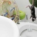 Woman screams after finding rat in toilet pushing against her buttocks