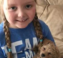 Heart-warming: 80,000 dog photos for sick girl (7)