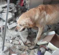 Hero Dog dies after rescue seven people