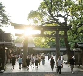 American Tourist Arrested for Vandalism at Tokyo Shrine