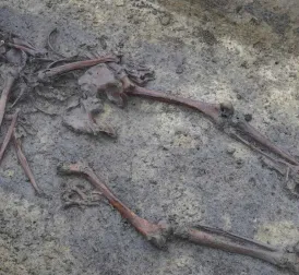 Archaeologists Discover Fifty Skeletons from Viking Age in Denmark