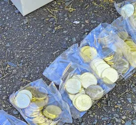 Australian Police Recovers Tens of Thousands of Stolen Bluey Coins