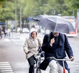 Autumn in Full Swing: Gray Days with Unsettled Weather