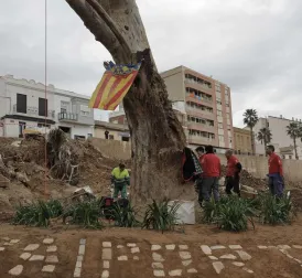 Body of missing person found in Valencia region month and a half after floods