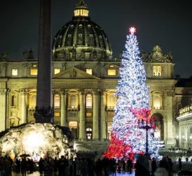 Controversy over Christmas tree for the Vatican despite protests