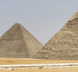 Dog Found Barking on Top of Giza Pyramids Leaves Social Media Baffled