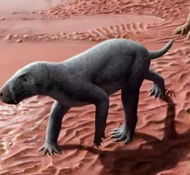 Fossil of 'Sabre-toothed Proto-mammal' Found on Mallorca Could Rewrite Evolutionary History