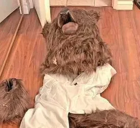 Four individuals arrested in Los Angeles for insurance fraud involving bear costume