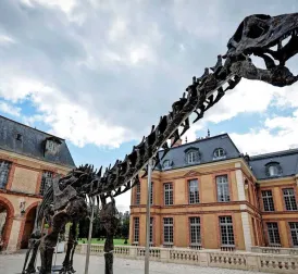 Gigantic Dinosaur Skeleton Sold for 6 Million Euros at Auction in Paris