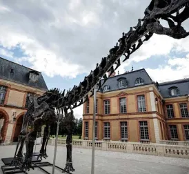 Gigantic Dinosaur Skeleton Up for Auction in Paris Hopes to Break World Record