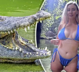 Influencer Faces Massive Fine for Feeding Crocodile Chicken: 'This is Stupid'