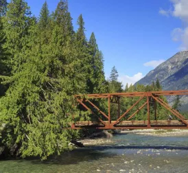 Lost man (39) survives month in national park by drinking river water and eating mushrooms and berries