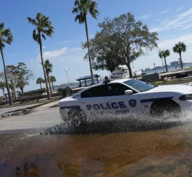 Man Faces Jail Time for Abandoning Dog During Hurricane in Florida