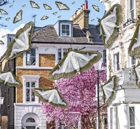 Moth Infestation Causes Legal Battle Between Millionaire Residents in London