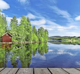 New Chapter in Scandinavian Success Story: Traditional Swedish Cottage to the Moon