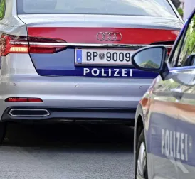 Newborn Baby Found Dead Near Austrian Hospital, Mother Suspected of Murder