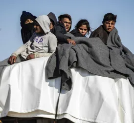 Over 115,000 Refugees Fleeing Due to Escalating Conflict in Syria