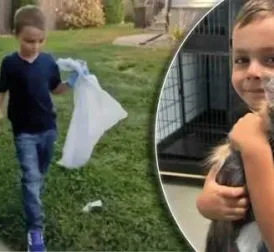 Six-year-old boy starts dog poop cleanup service to adopt cat from shelter, and succeeds