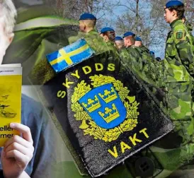 Sweden and Finland Prepare Citizens for Potential War with Information Campaigns