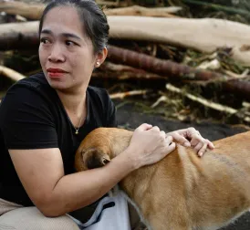 Tropical Storm Trami claims at least forty lives in the Philippines