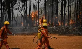 Amazon Rainforest Fires in Brazil