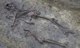 Archaeologists Discover Fifty Skeletons from Viking Age in Denmark