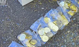 Australian Police Recovers Tens of Thousands of Stolen Bluey Coins