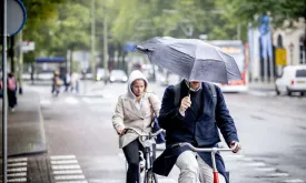 Autumn in Full Swing: Gray Days with Unsettled Weather