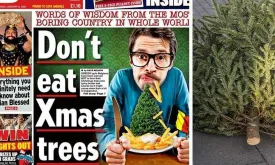 Belgium Ridiculed by British Tabloid for 'Eat Your Christmas Tree' Advice