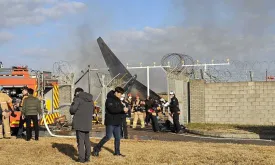 Bird Feathers Found in Engines of Crashed Passenger Plane in South Korea