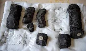 Breakthrough: Scientists Digitally 'Unroll' 2000-Year-Old Burned Parchment Destroyed by Vesuvius Eruption