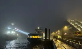 Collision Between Cargo Ship and Ferry in Hamburg Harbor