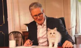 Competition for Larry: New Kitten Arrives at Downing Street