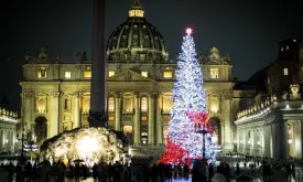 Controversy over Christmas tree for the Vatican despite protests