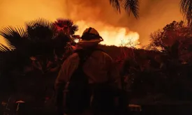 Details Emerge About Causes of Los Angeles Wildfires