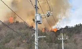 Forest Fire Breaks Out in Japan's Hiroshima Prefecture