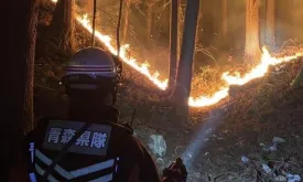 Forest Fire in Japan's Iwate Prefecture Continues for a Week