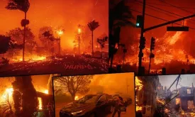 Forest Fire Reaches Luxury Neighborhoods in Los Angeles! 30 Thousand People Evacuated