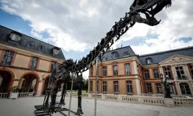 Gigantic Dinosaur Skeleton Up for Auction in Paris Hopes to Break World Record