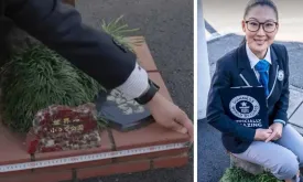 Guinness World Records Confirms: Smallest Park in the World Found in Japan