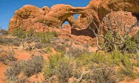 Human Remains Found in Various Stages of Decomposition on Hiking Trail in Utah, US