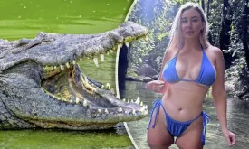 Influencer Faces Massive Fine for Feeding Crocodile Chicken: 'This is Stupid'