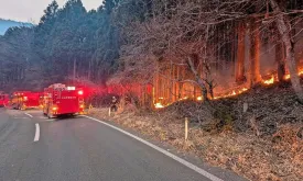 Japan Deploys 2000 Firefighters to Combat Largest Forest Fire in Half a Century