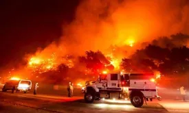 Japan to Provide $2 Million Aid to US for Wildfire Victims