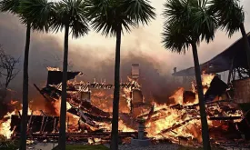 Luxury Homes Burned in Wildfires: Hunter Biden's Villa Destroyed